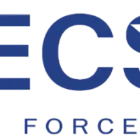 Bué de Empregos - Tecsteel Work Force